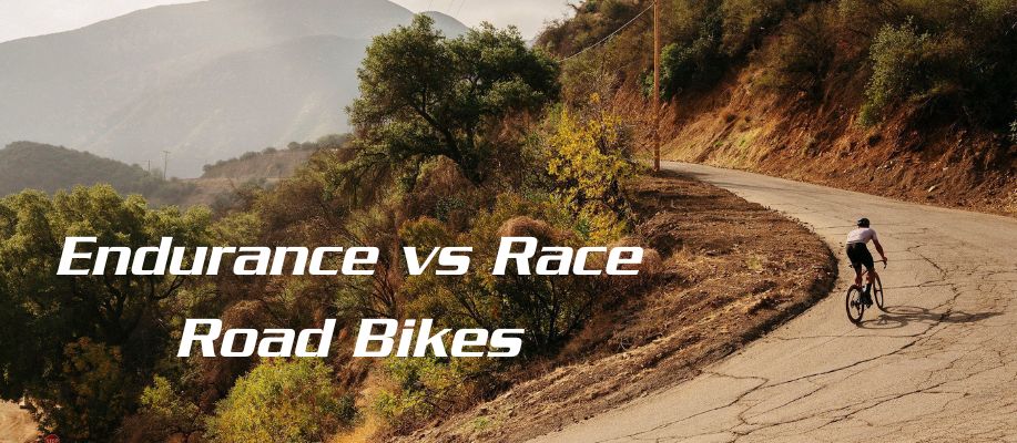 Difference between Endurance And Race Road Bikes: Explained